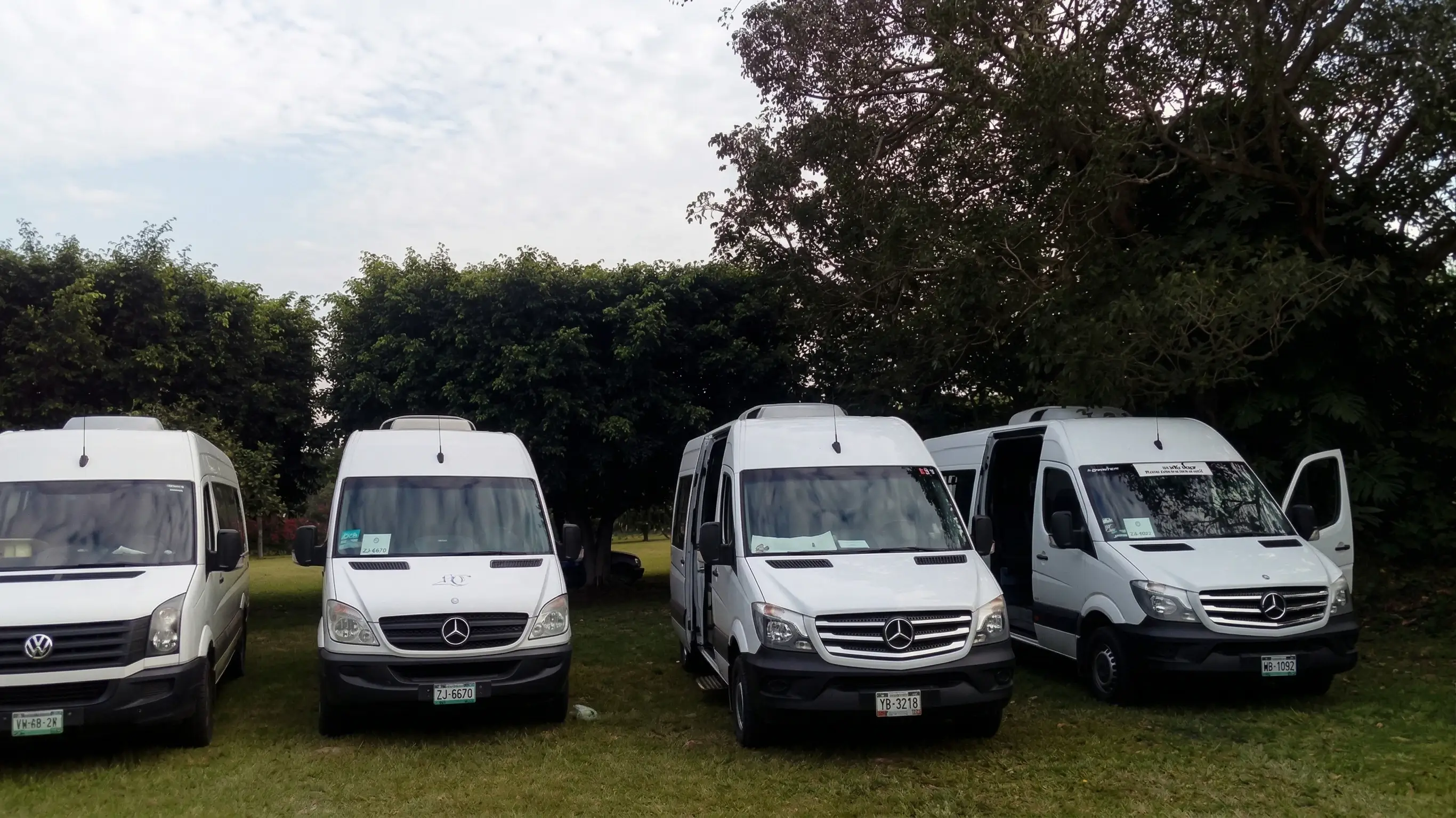 Transporte Lux Green