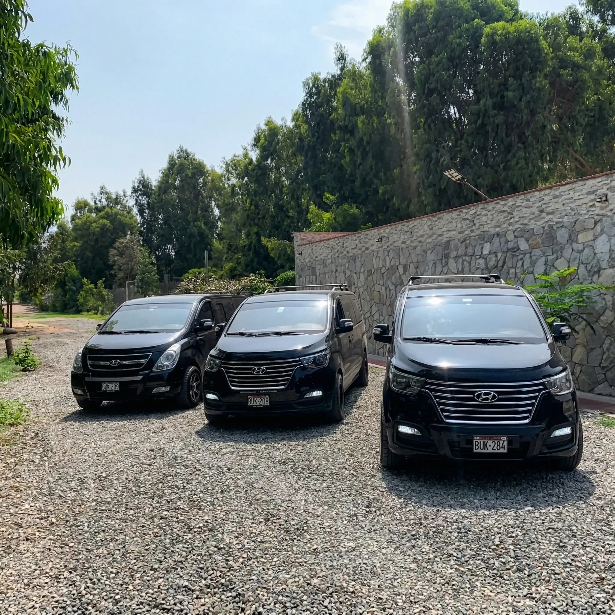 Transporte Lux Green